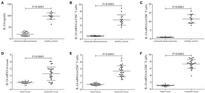 Interleukin-24 Regulates T Cell Activity in Patients With Colorectal Adenocarcinoma